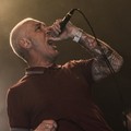 GutterPunk - Professional Concert Photography